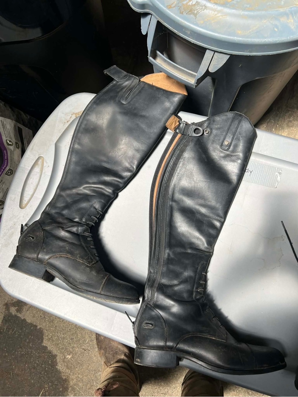 Ariat Field Boots - size 10 TALL/REG